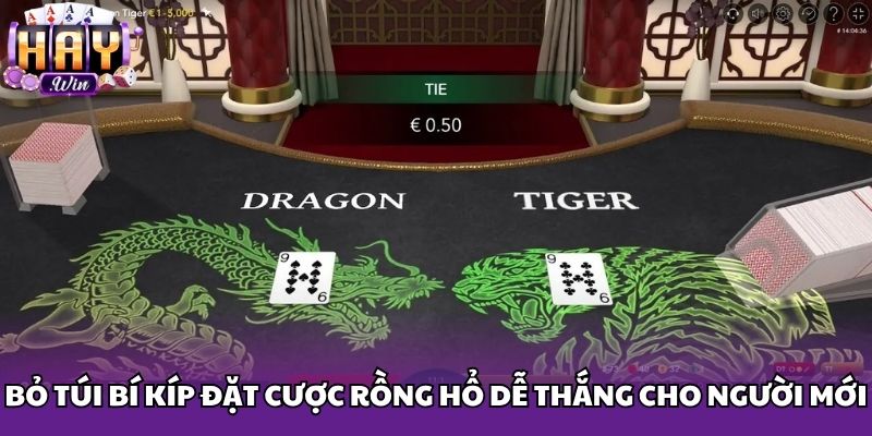 Bỏ túi bí kíp đặt cược rồng hổ dễ thắng cho người mới