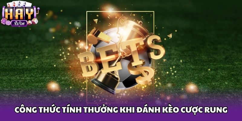 Công thức tính thưởng khi đánh kèo cược rung