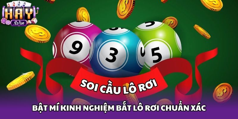 Bật mí kinh nghiệm bắt lô rơi chuẩn xác