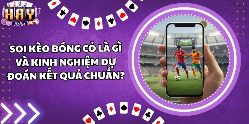 Soi Kèo Bóng Cỏ Là Gì Và Kinh Nghiệm Dự Đoán Kết Quả Chuẩn?