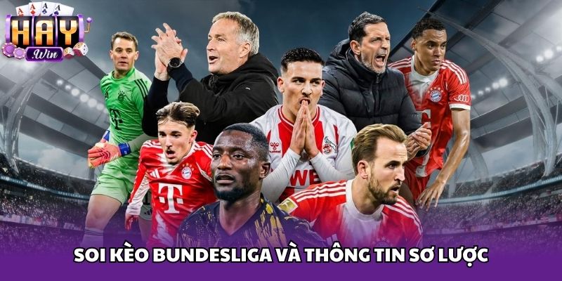 Soi kèo Bundesliga và thông tin sơ lược